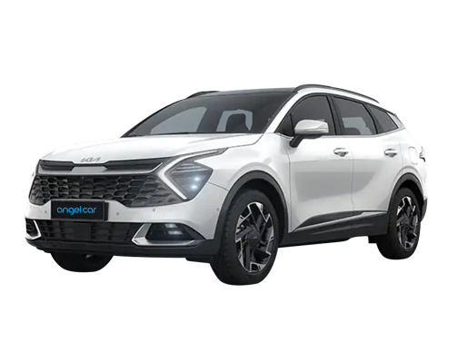 디올뉴 스포티지 4WD 21년(고급형)