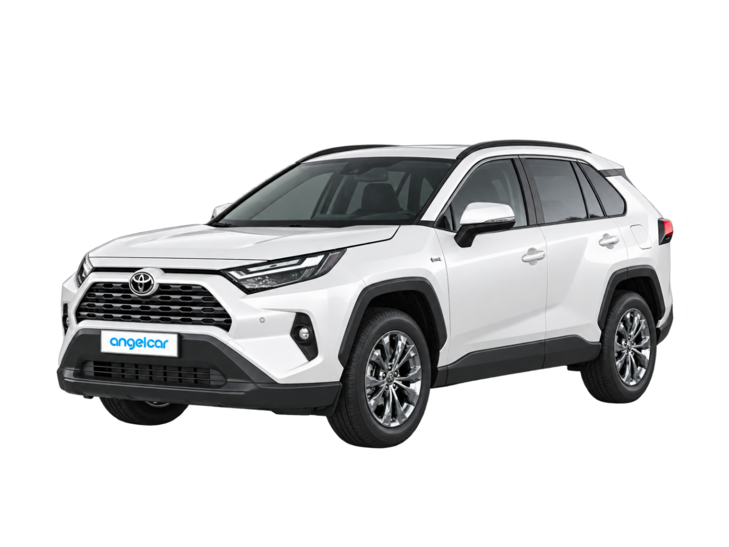 토요타 RAV4 Hybrid 26년 차량 안내 이미지