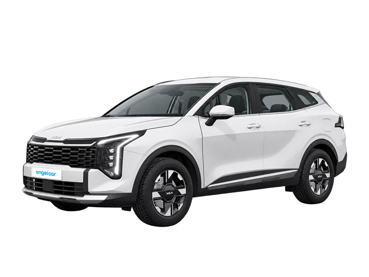 더뉴 스포티지 4WD 선루프 24년 차량 안내 이미지