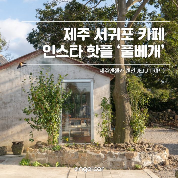 제주 안덕면 카페 :: 커피가 맛있는 서귀포 풀베개 (Pullbege)