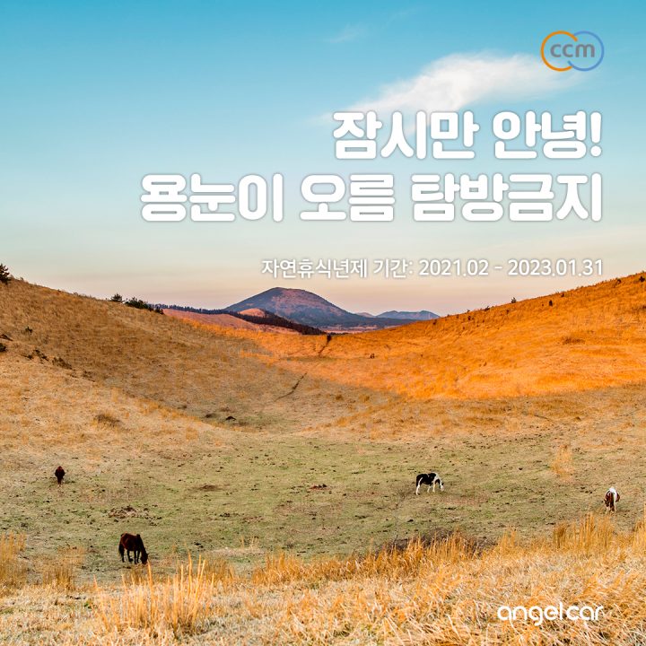 제주 용눈이오름 자연휴식년제 시작! 2021.02.01 - 2023.01.31