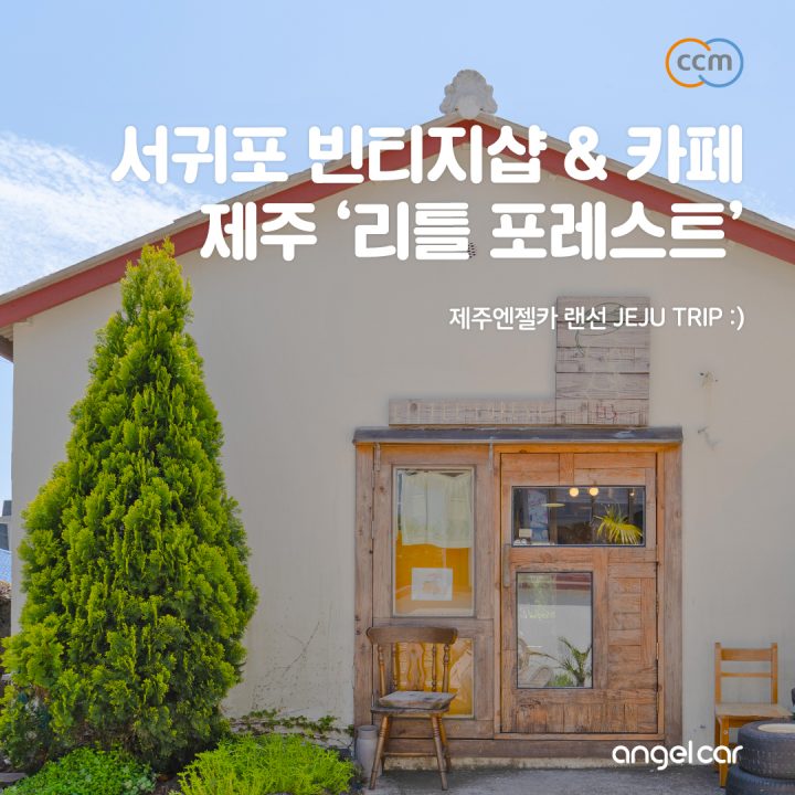 빈티지 st 좋아한다면 꼭 방문해야 할 '제주 리틀포레스트'