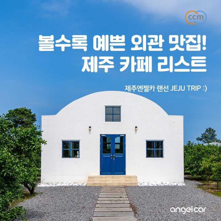 제주도 4월 가볼만한곳 :: 덴드리 / 시적인 순간 / 사분의 일 / 새빌카페