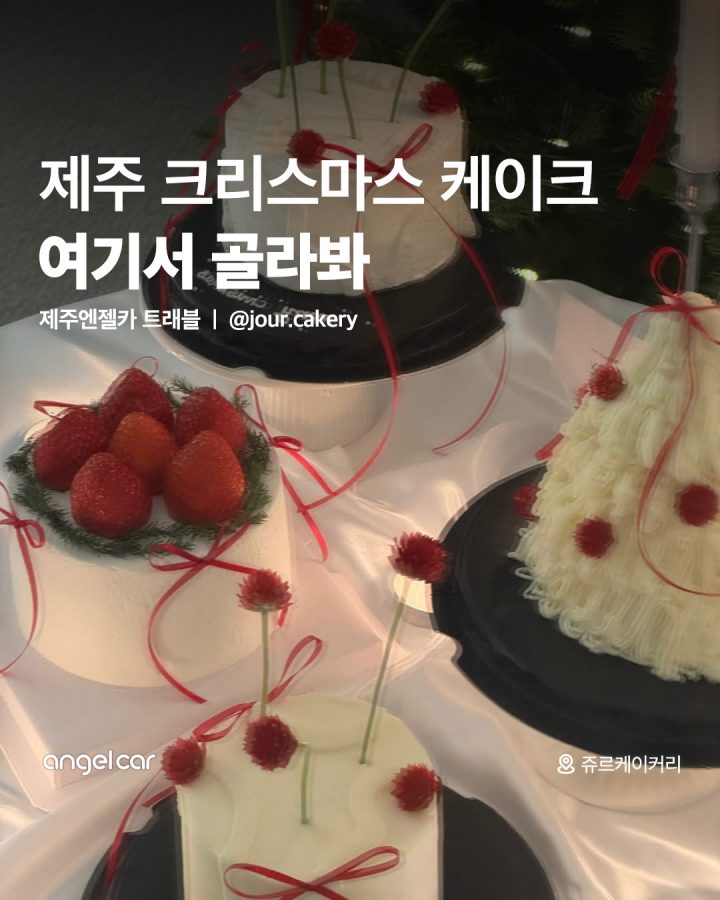 제주 크리스마스 케이크 맛집