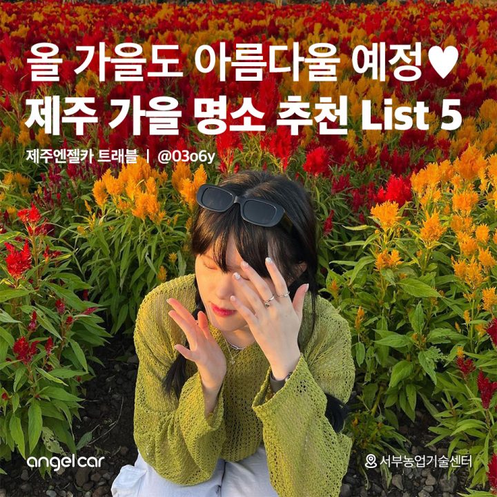 제주 가을 명소 추천 List 5