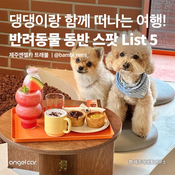 반려동물 동반 스팟 List 5