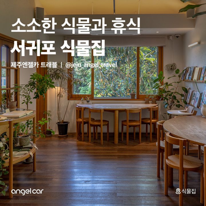 소소한 식물과 휴식, 서귀포 식물집