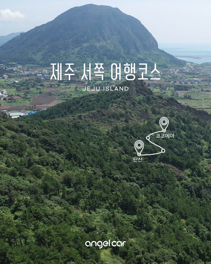 [Jeju Trip] 제주 판포 카페 '코코메아' + 서귀포 오름 '단산' 코스!
