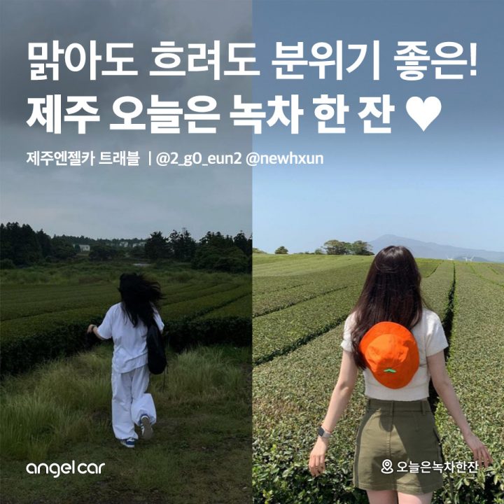 제주 오늘은 녹차 한 잔♥