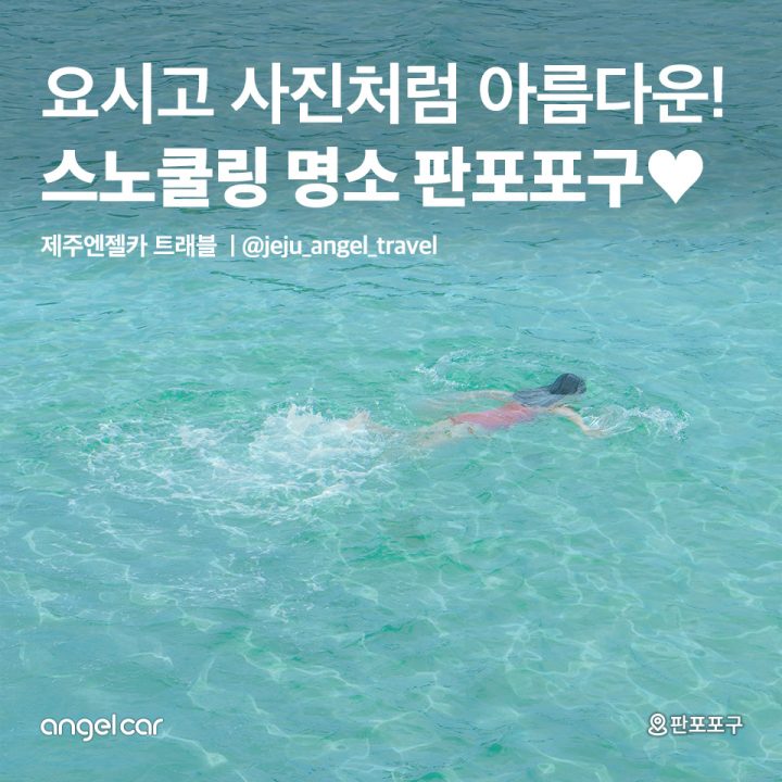 스노쿨링 명소 판포포구♥