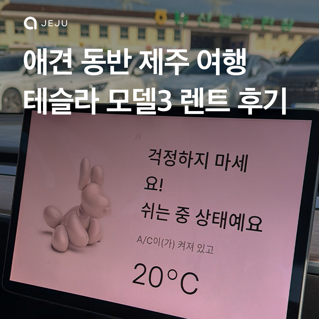 강아지랑 테슬라 모델3 렌트 후기! 이미지 1