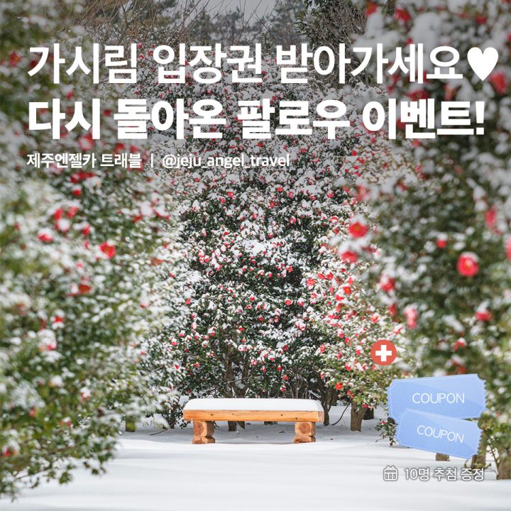 다시 돌아온 팔로우 이벤트