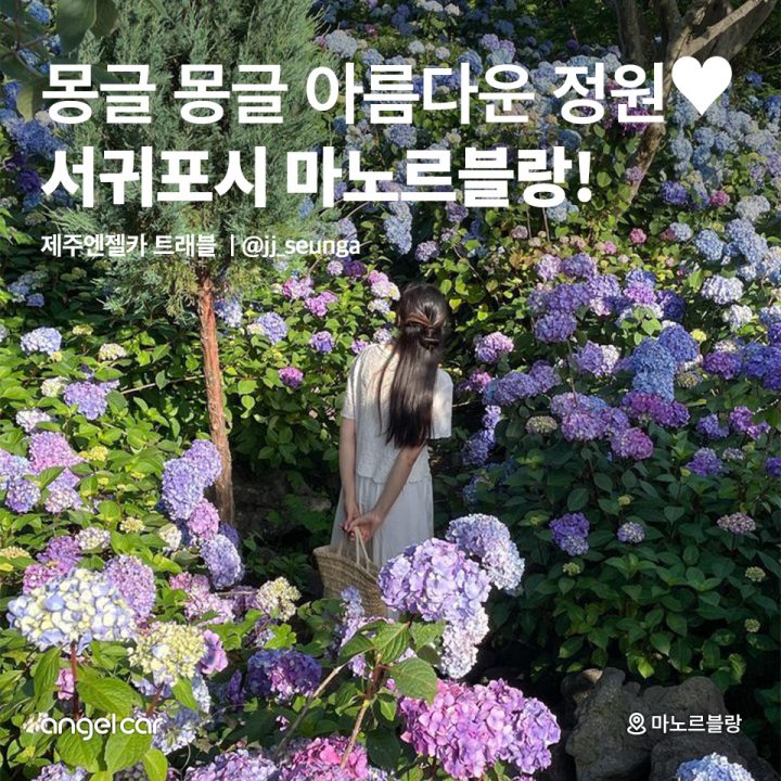 서귀포시 마노르블랑!