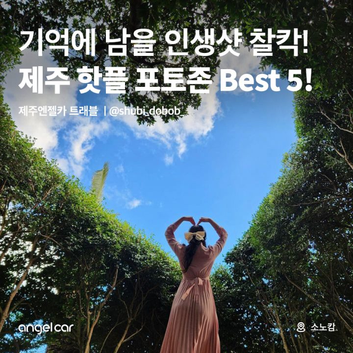 제주 핫플 포토존 Best 5!