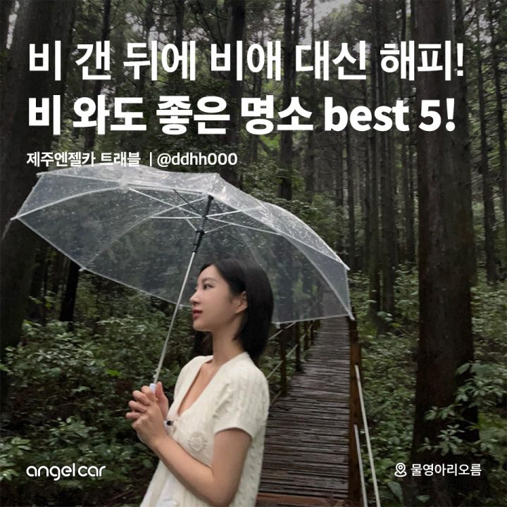 비 와도 좋은 명소 best 5!