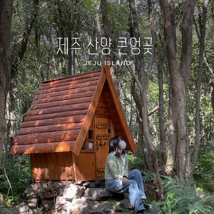 서귀포 숲길 어디갈까? 고민 중이라면, 제주 산양 큰엉곶!