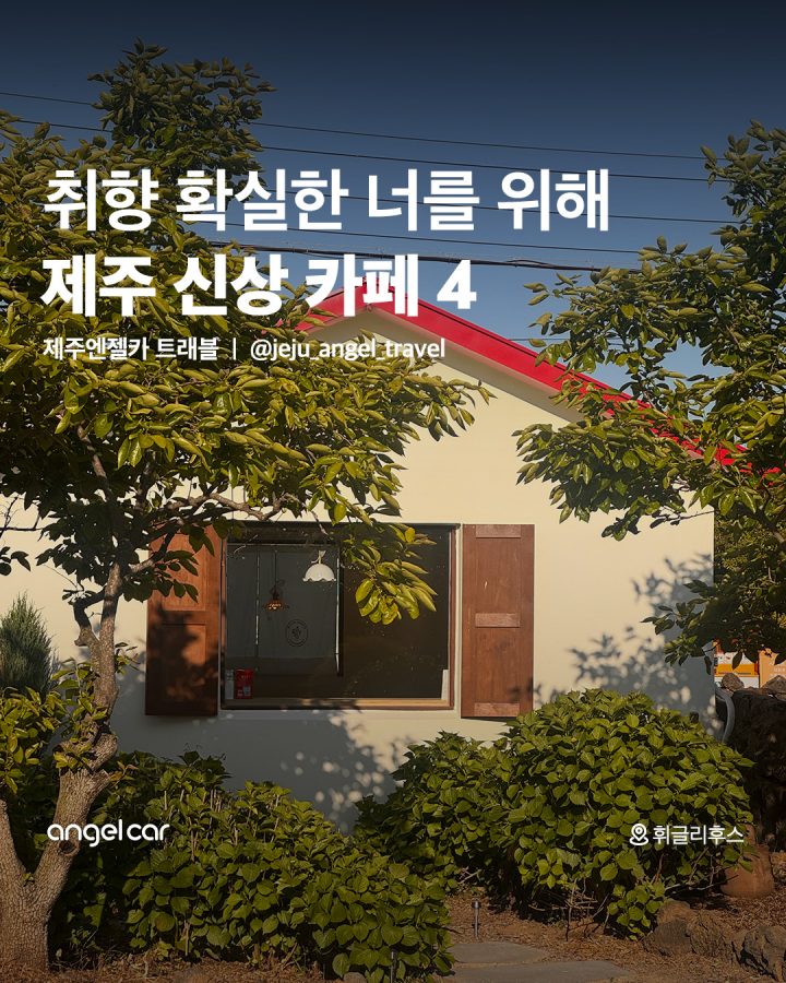 5월 제주 신상 카페!