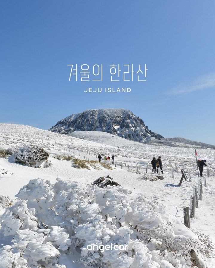겨울 백록담 탐방! 한라산 예약제 신청방법부터 주의사항까지