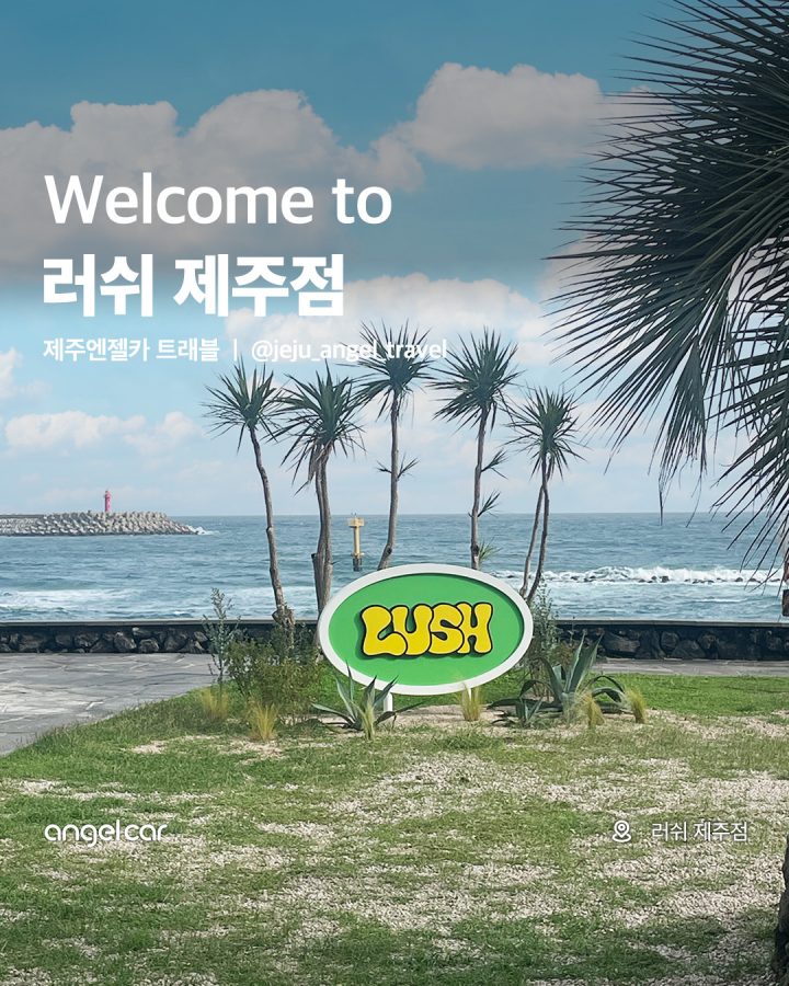 제주도 러쉬 상륙!