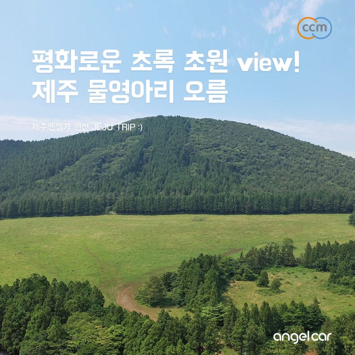 제주 동쪽 오름 :: 평화로운 초록 초원 '물영아리 오름'