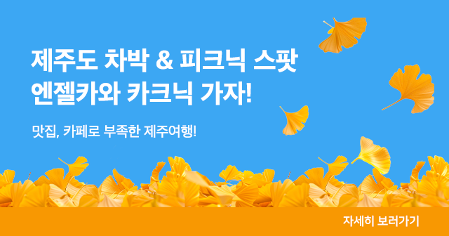 엔젤카와 떠나는 캠크닉! 제주도 캠핑 & 피크닉 스팟!